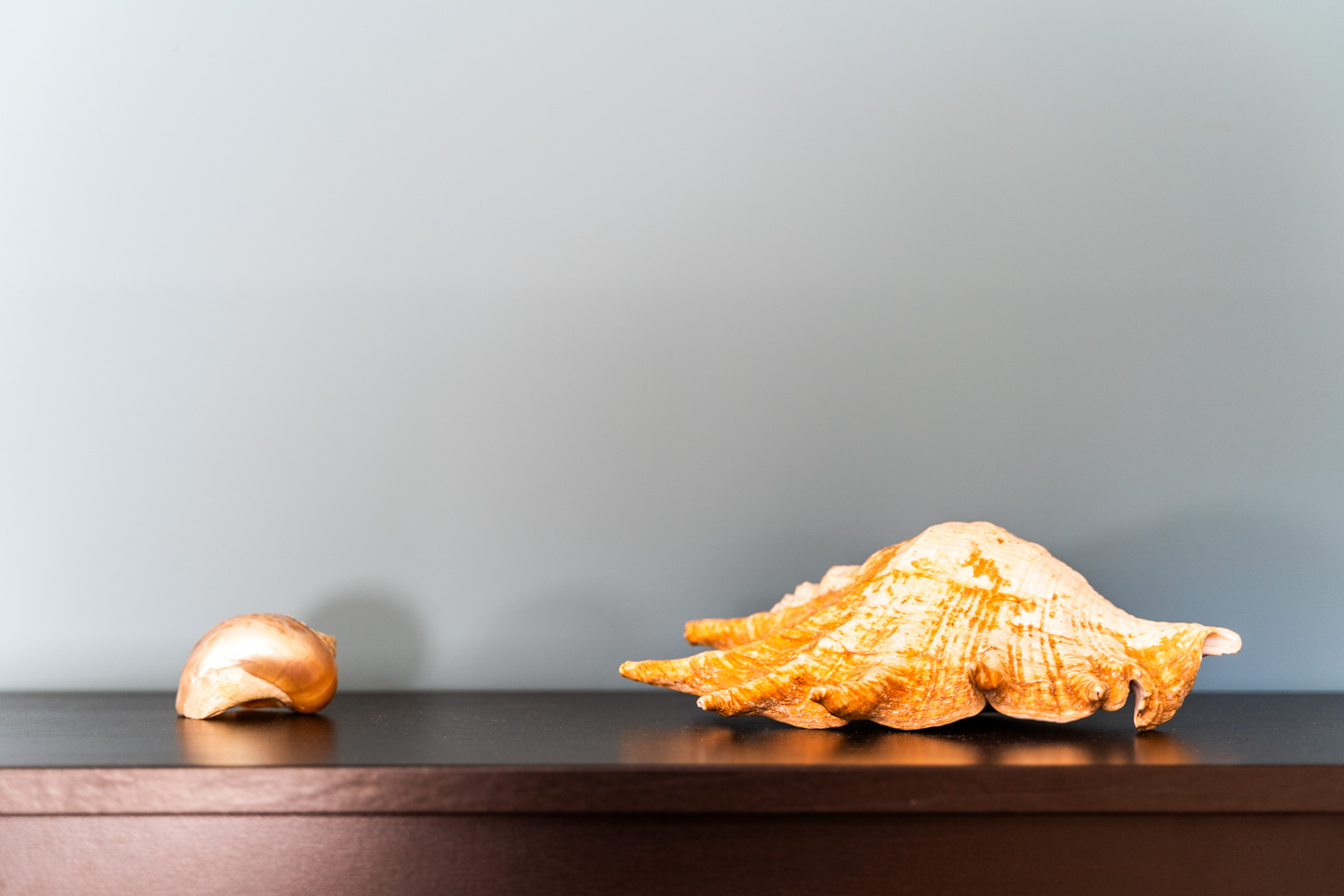 Coquillages posés sur un meuble. Belle photographie d'intérieur. Photographe immobilier sur Toulouse et la région Occitanie.