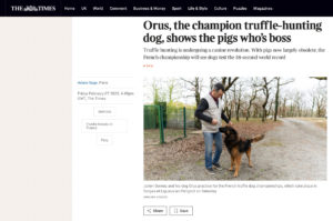 Publication le 7 février 2025 sur le site du journal britannique The Times dans le cadre du reportage sur le chien chasseur de truffes Horus.